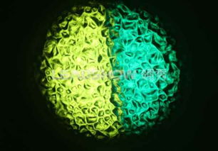 圖片,海量精選高清圖片庫 東莞市領(lǐng)秀光電科技有限責任公司