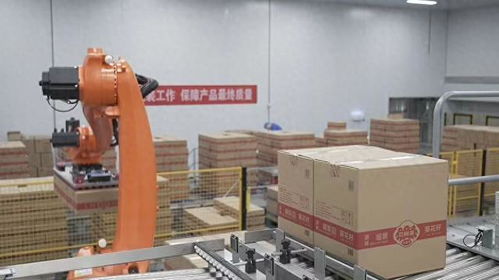 巴彥淖爾鍛造向日葵全產(chǎn)業(yè)鏈